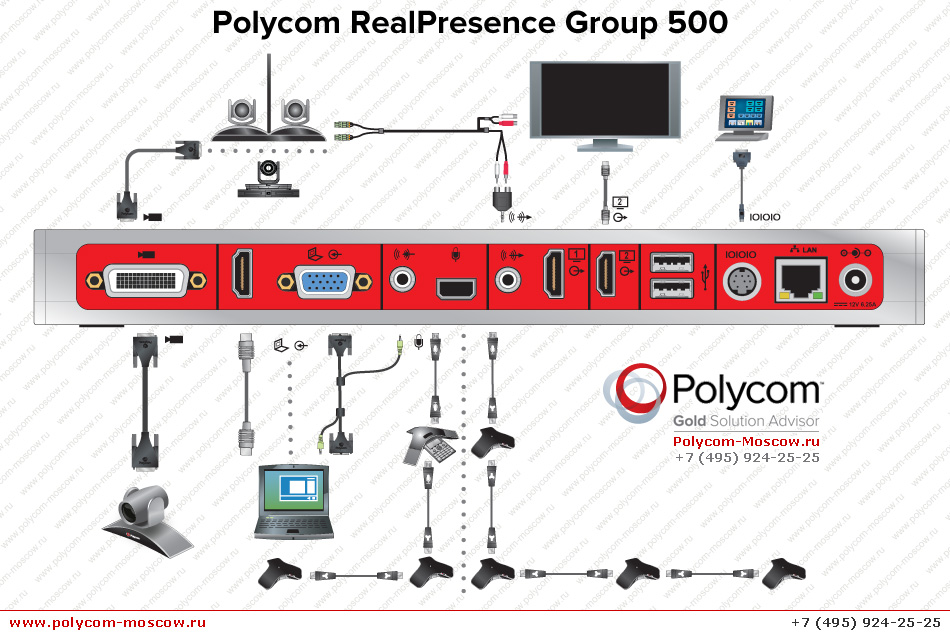 PolycomcRealPresence Group 310